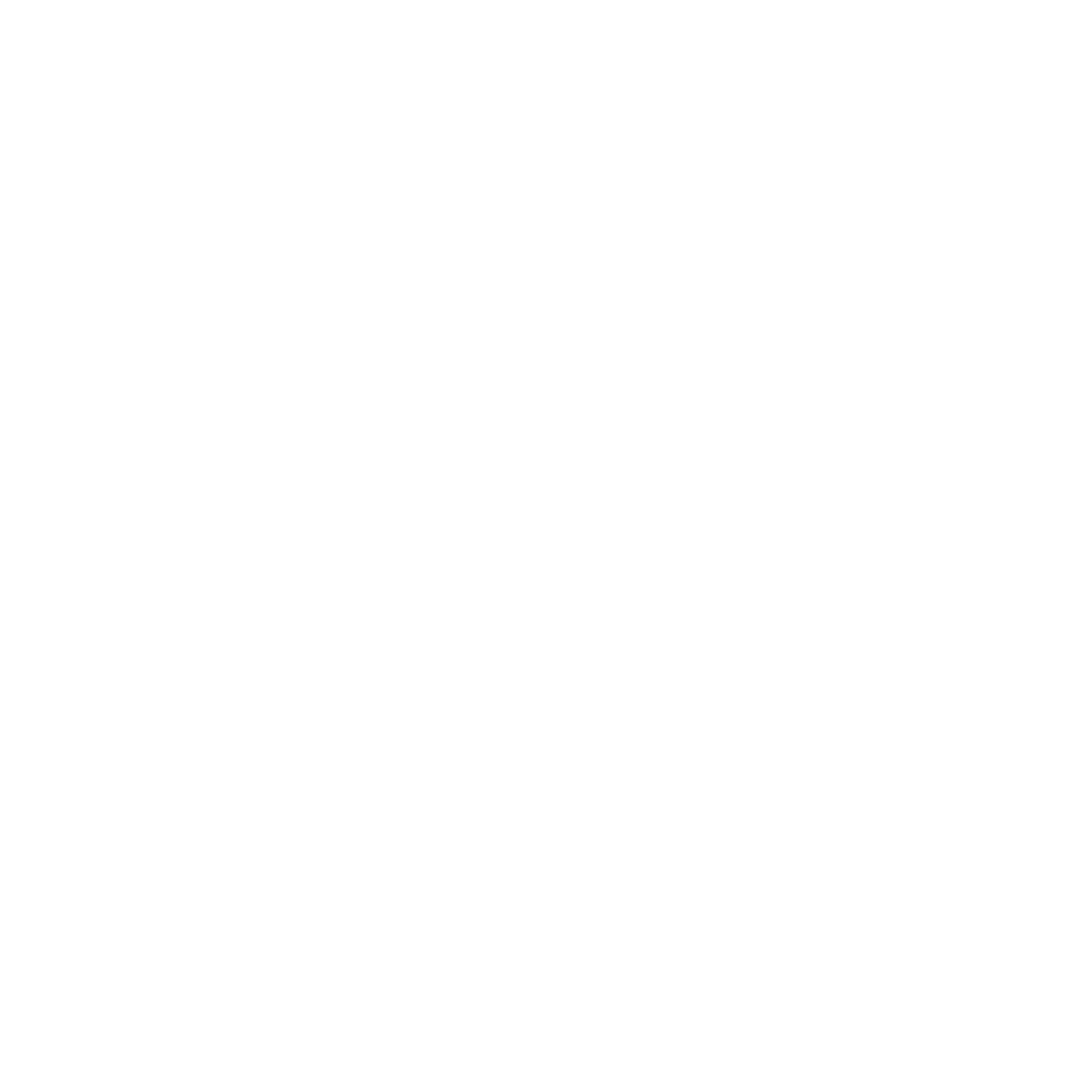 SZ Terzi logo